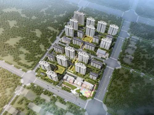 祥生爆料最新消息,揭秘娱乐圈惊人内幕 第1张 祥生爆料最新消息,揭秘娱乐圈惊人内幕 第1张